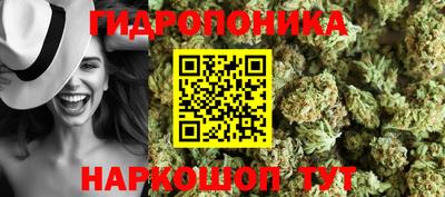 гидропоника Нягань