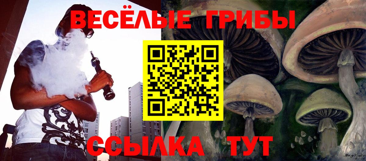 Галлюциногенные грибы мухоморы Норильск