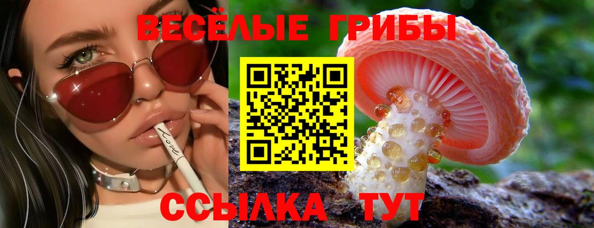Норильск  Псилоцибиновые грибы ЛСД  Вход с VPN 